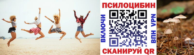 купить закладку  Коряжма  Псилоцибиновые грибы Psilocybe 